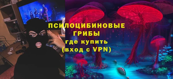 стаф Алексеевка