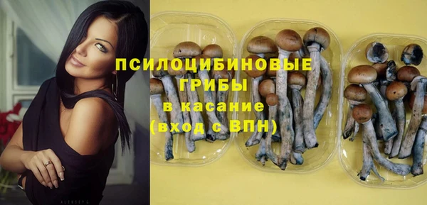 стаф Алексеевка